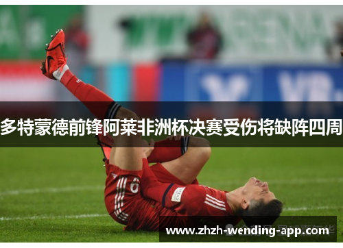 多特蒙德前锋阿莱非洲杯决赛受伤将缺阵四周 多特蒙德前锋阿莱非洲杯决赛受伤将缺阵四周