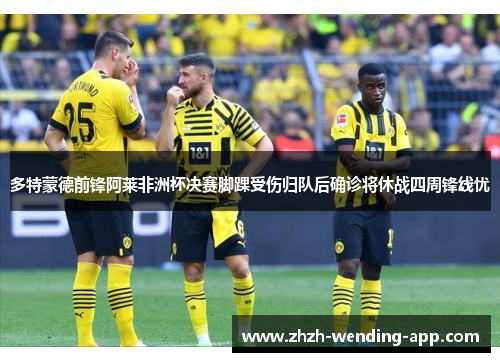 多特蒙德前锋阿莱非洲杯决赛脚踝受伤归队后确诊将休战四周锋线忧