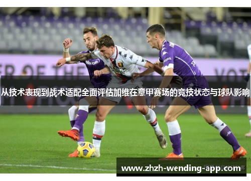 从技术表现到战术适配全面评估加维在意甲赛场的竞技状态与球队影响
